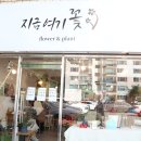 지금여기꽃
