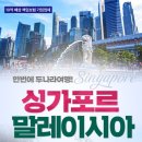 돌고래여행사(주) 네이버블로그