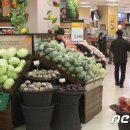 야채마트