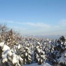 [인천만월산악회] 제주 한라산 등반 안내 이미지