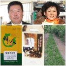 대부건강원 이미지