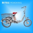 바이텍 로드킹 (BITEC ROAD KING) 삼륜 전기자전거 배터리 교체, 보조배터리 추가 이미지