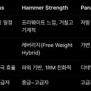 현대헬스 네이버블로그