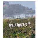 웰링턴뷰 | [뉴질랜드 10] 북섬에서의 마지막 일정 (네이피어 아르데코, 웰링턴, 물개, 박물관, 그리고 칵테일바)