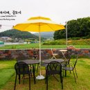 바리깡스타 이미지