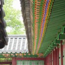 단청 이미지