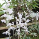 종천초등학교 이미지