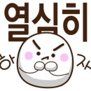 러브애견 이미지