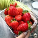 티(T)모텔 이미지