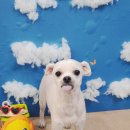 소사미용실 이미지