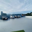 인삼로L 이미지