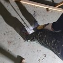 광평리경로당 이미지