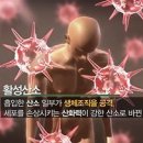 시너지건강디톡