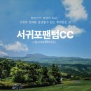팬텀제주