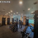 머슬원핏 이미지