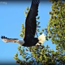 명석목장 이미지