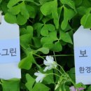 그린환경디자인 이미지