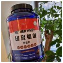 맛있는 네덜웨이 프로틴 초코맛 2kg 후기