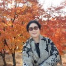 명품드림 이미지