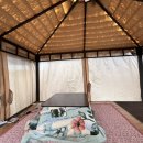 들꽃연가 이미지