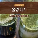 아지트카페 | [시흥능곡동] 시흥능곡동 카페 올랑시스 | 초록 감성 가득한 분위기 좋은 능곡동 아지트 카페 후기 ☕🌿