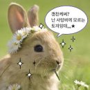 프리미엄퓨전