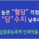 나는 몸신이다 1회 퇴행성 관절염 혈액순환 통증 염증물질 솔잎 생강찜질 신경통 동맥경화 오다리 두충차 홍합 글루코사민 이미지