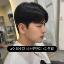 샵머리호강