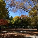 임고보건지소 이미지