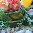 이수타코 이미지