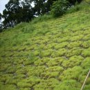 국도변 법면 디자인 | [건자재114]법면블럭이란? 경사지와 사면 안정화를 위한 핵심 자재