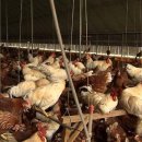 김용식농장 이미지