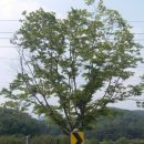둔대초등학교 삼거리 | 군포명소 수리산 산화랑&lt;위치:경기도 군포시 속달동 230-14&gt;가는 길과 주변 풍경 &lt;폄&gt;