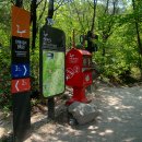 철쭉동산 이미지