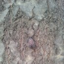 한중대학교 | 한중대학교 간호학과 면접 후기.