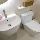 코지갯 스테이 이미지