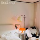 관악구 봉천동 치과 부티크샤샤 진료시간 접근성 이용후기