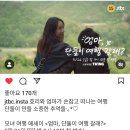 240512 jtbc 엄마, 단둘이 여행 갈래? 1차 티저] 단둘이 친구처럼 여행이라니 얼마나 좋아 이미지