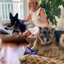 백악관주유소 이미지