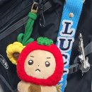 해바라기 토크 콘서트-행복을 주는 사람들 | LUCY 단독 콘서트 [ LUCID LINE ] 선콘 중,막콘 다녀오다🌻