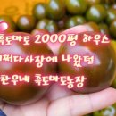 찬우농장 이미지