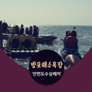 물새수상레저 | 방포해수욕장 수상레저 : 안면도여행 1박2일 코스추천