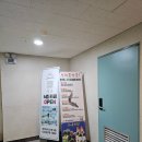 일품 장어나라 | [초복 보양식] 엄마와 몸보신, 장어구이 맛집 '장어나라' 내돈내산 솔직 후기