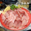 마실 수(SOO) | 일산 대방어 맛집 일산역 횟집 황금어장 스끼다시도 푸짐해요