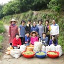 이두수 농장 이미지