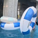 더락펜션 | 괴산 쌍곡계곡 펜션 추천, 수영장 있는 쌍곡락팬션 솔직 후기 떡바위 포인트(깊은 수심)