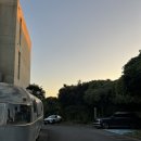 서귀집 | 서귀포시청 맛집 / 서귀포 흑돼지 맛집 <서귀집> 솔직 방문 후기