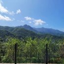 도평리도토리네 이미지