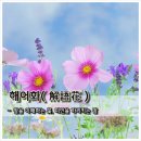 해어화 티스토리