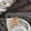 블루향기 | 향기 취향대로 골라 쓰는 블루워시 캡슐세제 4종 사용후기